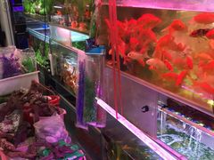 -双季花艺园艺市场(浦东店)