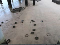 -演武大桥观景平台