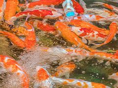 -太平洋海底世界