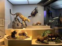 -武汉园博园(武汉自然博物馆)