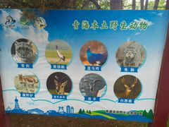 -青藏高原野生动物园