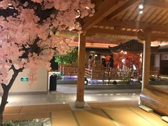 -添赐温泉馆(上南路店)