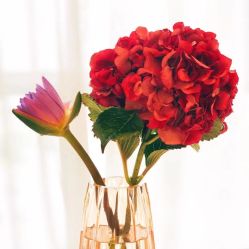 -美肤盾祛痘·问题肌头疗管理中心