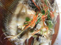 清蒸多宝鱼-张家小灶(东城店)