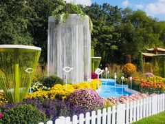 -上海共青森林公园