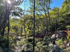 -大岭沟猕猴桃谷风景区