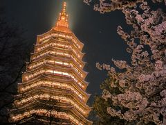 -红梅公园