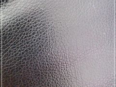 -昆山城市生态森林公园