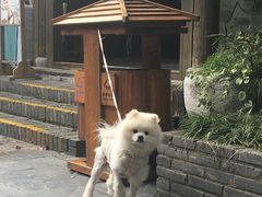 -天目湖山水园