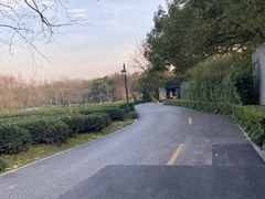 -九里云松·天香餐厅