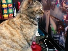 -协和菜馆(凤凰街店)