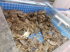-牛道烤肉海鲜自助