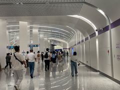 -望京西(地铁站)