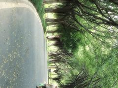 -海珠湖公园