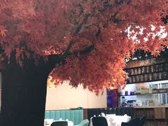 -雲蜀龙阁·金牌水煮鱼(方庄店)