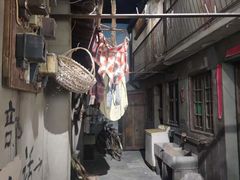 -上海浦东展览馆