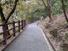 -羚羊峡古栈道森林公园