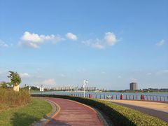 -九龙湖公园