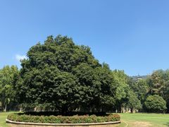-灵谷景区