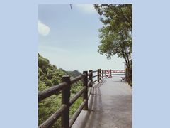 -少华山国家森林公园