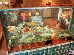 03鱼缸-澳门茶餐厅(乐道华源大厦店)