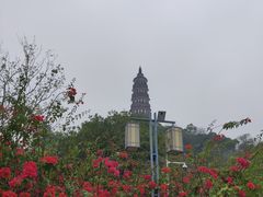 -顺峰山公园