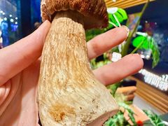 -芸山季·云南野生菌火锅(人民广场来福士店)