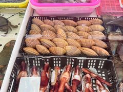 -大湾区中央湿地公园-十九涌