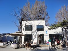 -小意思咖啡店(草桥店)