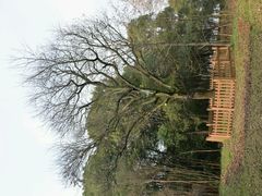 android_upload_pic-东湖落雁景区