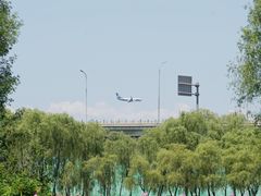 -东郊湿地公园