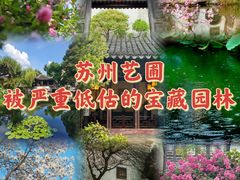 -艺圃