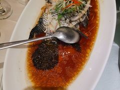 -骏莱海鲜鱼港(五角场店)