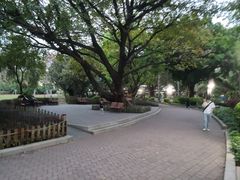 -东风公园