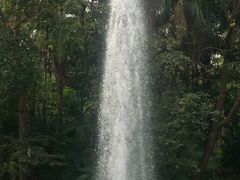 -九龙公园