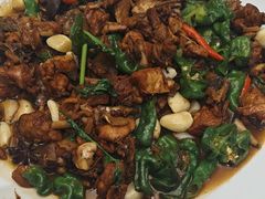 -食鸡公社辣子鸡·潍坊菜·烧烤