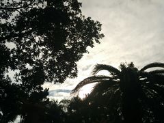 -金砂公园