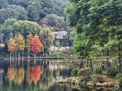 -重庆彩云湖湿地公园