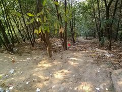 景点-火炉山森林公园