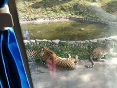 -西安秦岭野生动物园