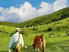 -大姆山草场