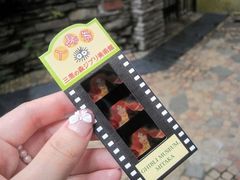 -三鹰之森吉卜力美术馆