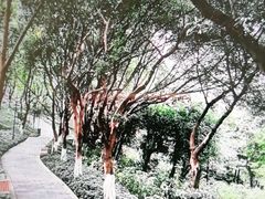 -龙头寺公园