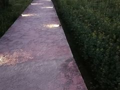 -红山村