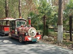 -合肥滨湖国家森林公园