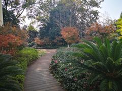 -上海市保健医疗中心