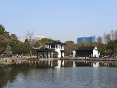 -红梅公园