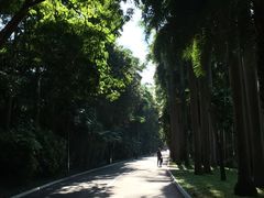 -南宁南湖公园