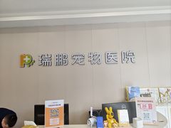 -瑞鹏宠物医院·骨科·猫科·内科(第一中心)
