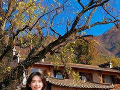 -塔川景区